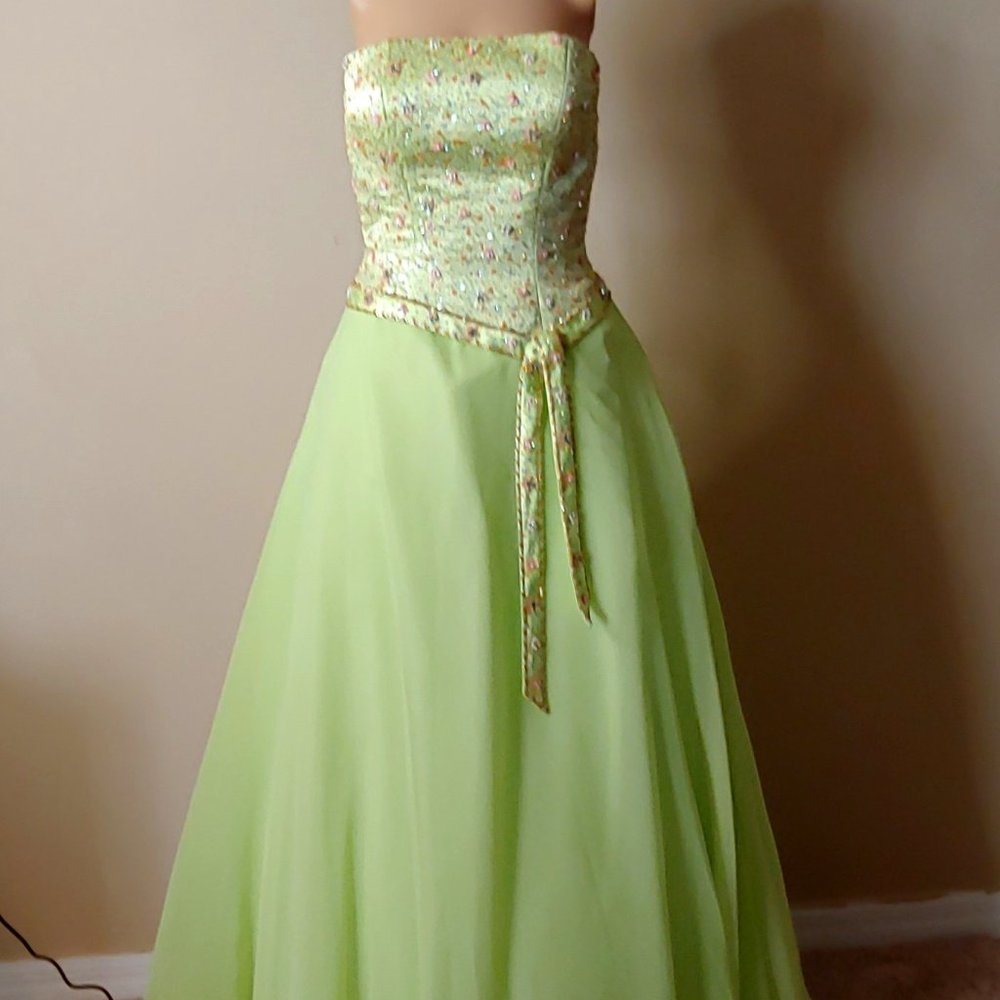 NWT Tiffany Ball Gown Prom Dress Princess Dress
